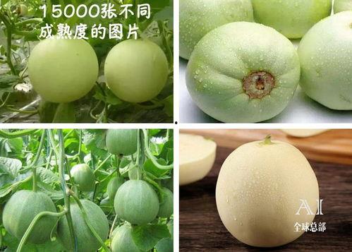 福大发吃瓜,揭秘校园热点事件背后的真相  第2张