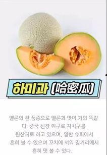 韩剧吃哈密瓜,韩剧中的哈密瓜美食之旅  第3张