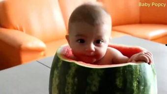 吃瓜 婴儿,揭秘婴儿世界的奇妙食趣  第3张