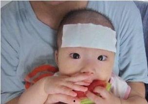 吃瓜仔发烧,揭秘娱乐圈背后的真相与温情  第2张