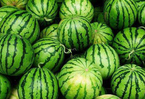 吃瓜仔发烧,揭秘娱乐圈背后的真相与温情  第3张