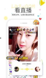 小黑马吃瓜视频下载,揭秘娱乐圈幕后故事  第3张