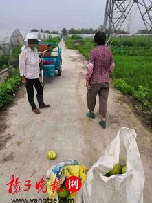 临沧吃瓜大妈视频,揭秘当地独特生活风情  第3张