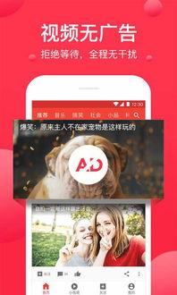 吃瓜博雅视频下载,热门视频下载攻略全解析  第3张