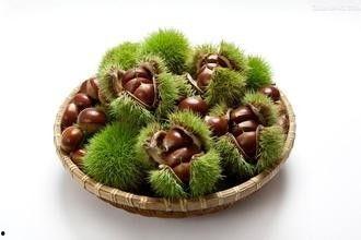 吃板栗瓜的好处,营养丰富的健康美食，吃出健康好生活  第2张