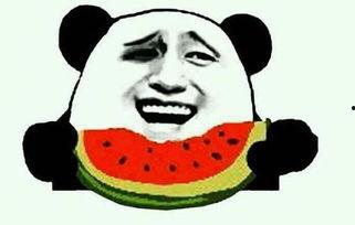 工地人吃瓜视频,揭秘工地生活趣味瞬间