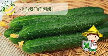 吃瓜配耳机,尽享视听盛宴  第2张