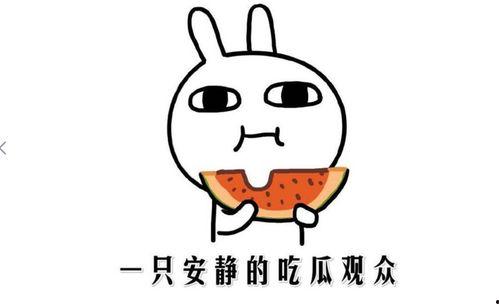 新闻怎么吃瓜,揭秘吃瓜群众的智慧与乐趣  第3张