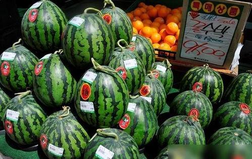 郓城卖衣服吃瓜,卖衣吃瓜，感受民俗风情  第2张