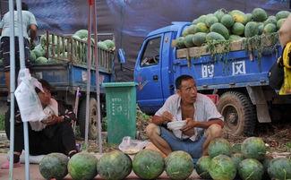 郓城卖衣服吃瓜,卖衣吃瓜，感受民俗风情  第3张