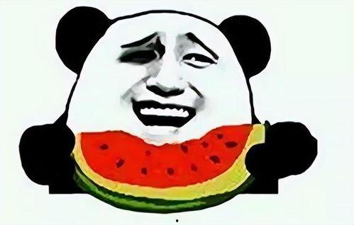 带你吃瓜奇葩标志,奇葩标志背后的故事与意义