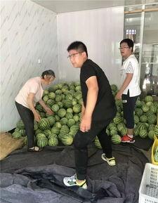 陈姓吃瓜,一场吃瓜盛宴背后的故事  第2张