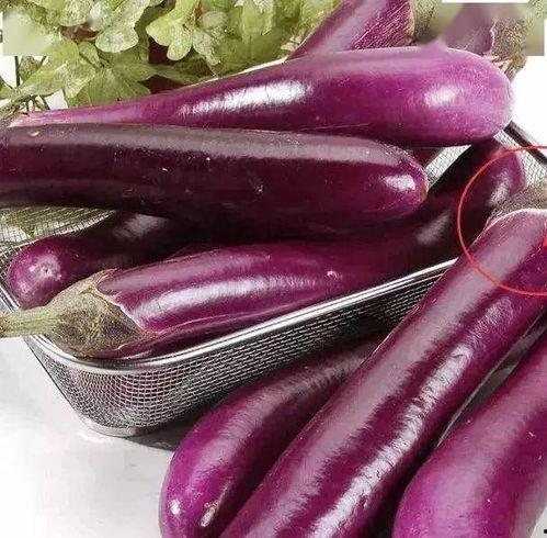 吃瓜系列 茄子视频,揭秘茄子视频背后的秘密