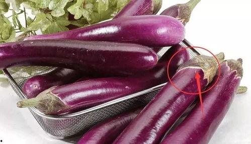 吃瓜系列 茄子视频,揭秘茄子视频背后的秘密  第2张