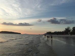 海岛吃瓜游记,瓜果飘香，悠然度夏  第2张