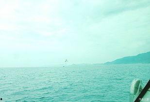 海岛吃瓜游记,瓜果飘香，悠然度夏  第3张