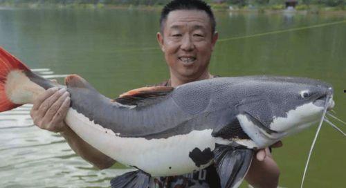 钓鱼圈吃瓜,揭秘吃瓜背后的真相与笑料  第3张