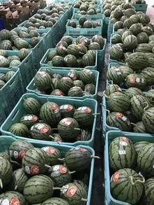 吃瓜聚集点,揭秘网络“吃瓜”聚集地的热点与奥秘  第2张