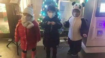 妈宝男吃瓜,揭秘现代家庭中的“妈宝”现象