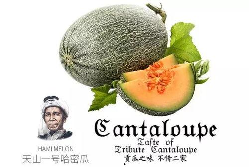 吃瓜自己推文,跟随他们的脚步，探寻娱乐圈幕后真相  第3张