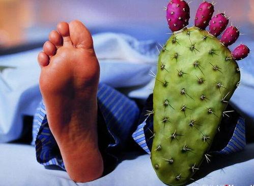 葵瓜痛风可以吃吗,葵瓜痛风患者适宜食用指南  第3张