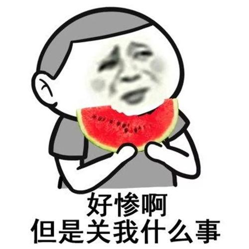 吃瓜学弟和卖瓜学姐,校园里的甜蜜瓜事  第2张