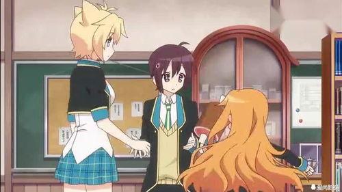 吃瓜学弟和卖瓜学姐,校园里的甜蜜瓜事  第3张