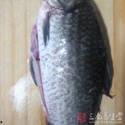 鲫瓜鱼怎么吃  第2张