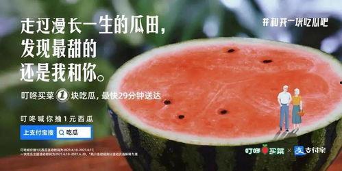 踏青吃瓜文案,瓜果飘香——探寻春日美食之旅  第3张