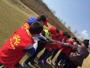 邹平最新吃瓜事件,揭秘背后真相与网络热议  第3张