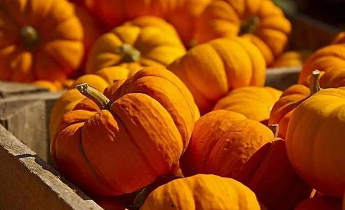 欧神吃瓜,揭秘娱乐圈背后的秘密与真相  第3张