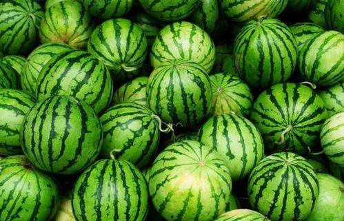 吃四瓜视频,一场味蕾与视觉的盛宴  第2张