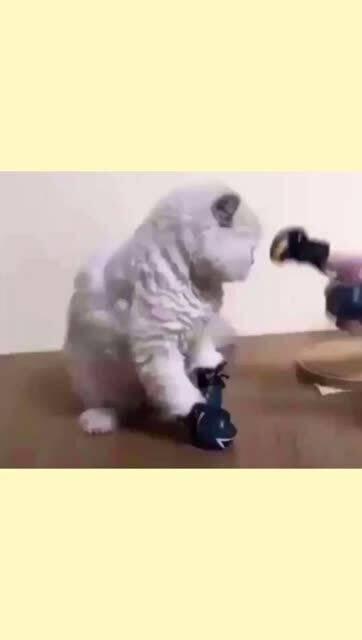 吃瓜挨揍视频大全