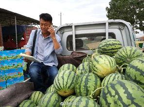 海口疫情吃瓜图,吃瓜图揭示的防疫众生相  第3张