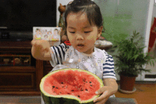 吃瓜群众温州,吃瓜群众眼中的城市风采  第2张