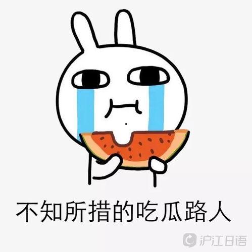 吃瓜上单怎么打,轻松应对战场挑战  第3张