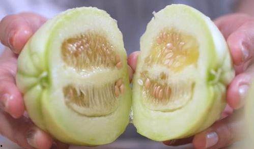 亭南村吃瓜,感受乡村田园生活  第3张