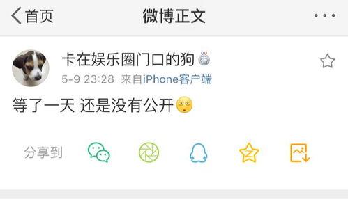 吃瓜爆料模板,当红明星背后的惊人真相，吃瓜群众速来围观！  第2张