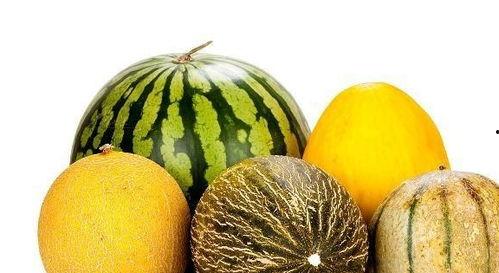 吃瓜网站还有哪些,盘点各大热门吃瓜网站背后的故事  第2张