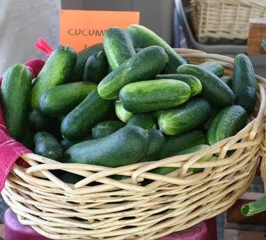 吃瓜网站还有哪些,盘点各大热门吃瓜网站背后的故事  第3张