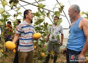 隆尧王尹村吃瓜,夏日里的瓜香四溢，探寻乡村吃瓜文化  第2张