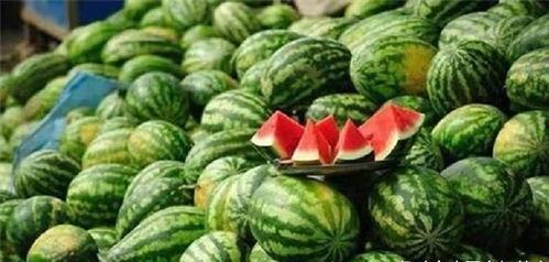 沐言吃瓜,揭秘娱乐圈那些不为人知的幕后故事  第2张