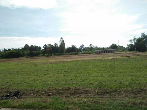 大树下吃瓜的,夏日休闲新风尚  第2张