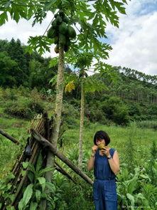 大树下吃瓜的,夏日休闲新风尚  第3张