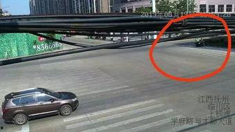 吃瓜群众撞人怎么处理,法律处理全解析  第2张