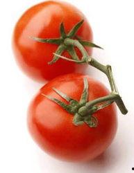 番茄小说别样吃瓜,别样吃瓜，解锁夏日趣味阅读新体验  第3张