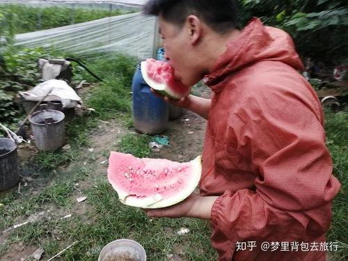 南昌吃瓜地摊  第2张