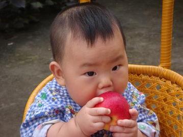 蹦哒着吃瓜,欢乐无限  第2张