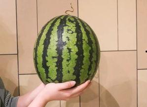 超人花吃瓜  第3张