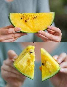 衢州吃瓜最新事,揭秘网络热议背后的真相